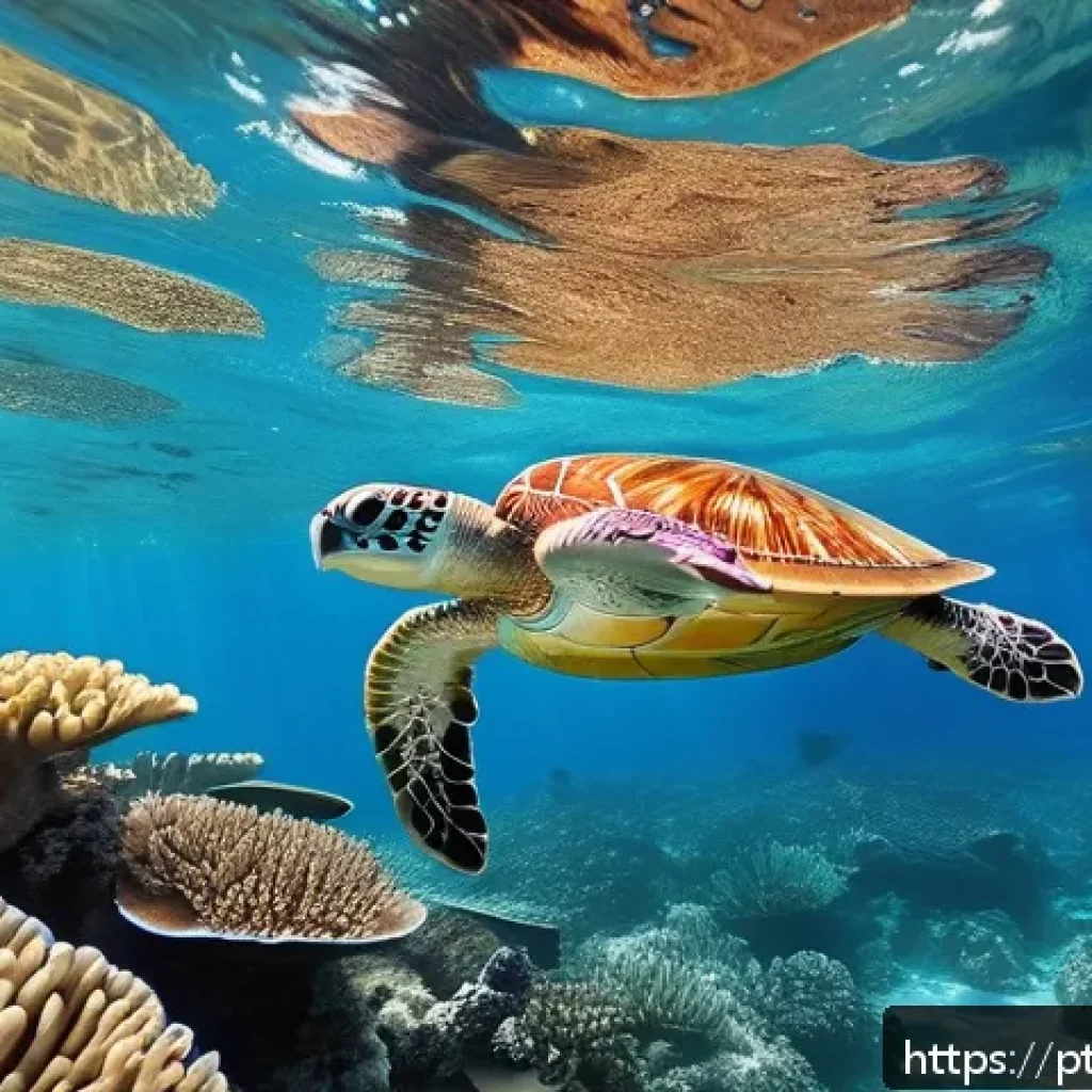 세인트루시아 스노클링 명소 - A vibrant underwater scene of a tropical coral reef in Saint Lucia, featuring colorful coral formati...